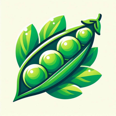 Green peas on a white background. Vector illustration. Eps 10.のイラスト素材