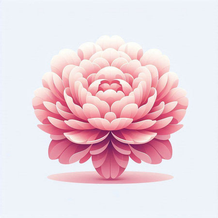 pink dahlia flower on a white background. vector illustrationのイラスト素材