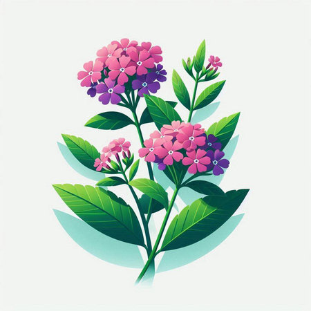 Illustration of a pink hydrangea flower on a white backgroundのイラスト素材