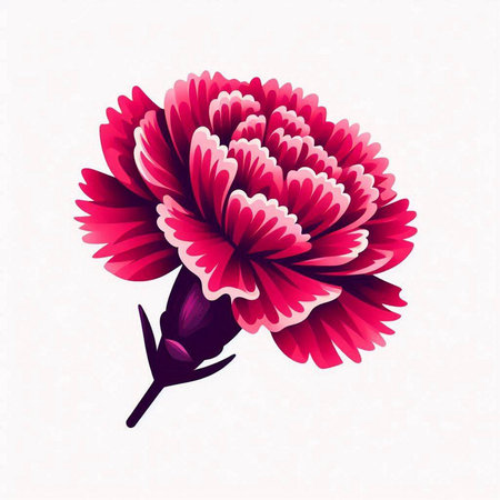 Vector illustration of a pink carnation flower on a white background.のイラスト素材