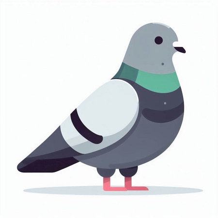 Pigeon bird isolated on white background. Vector illustration in flat style.のイラスト素材