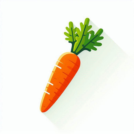 carrot isolated on white background. Vector illustration. Eps 10.のイラスト素材