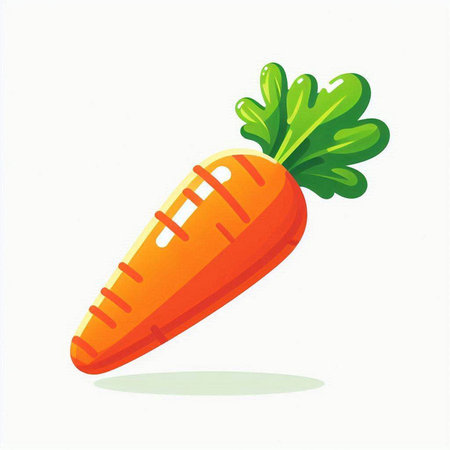 carrot isolated on white background. Vector illustration. Eps 10.のイラスト素材