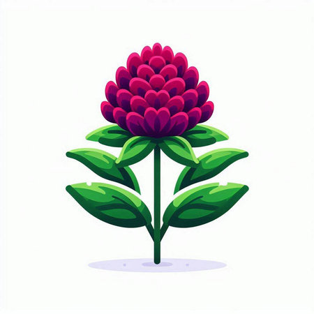 Illustration of a red clover isolated on a white background.のイラスト素材