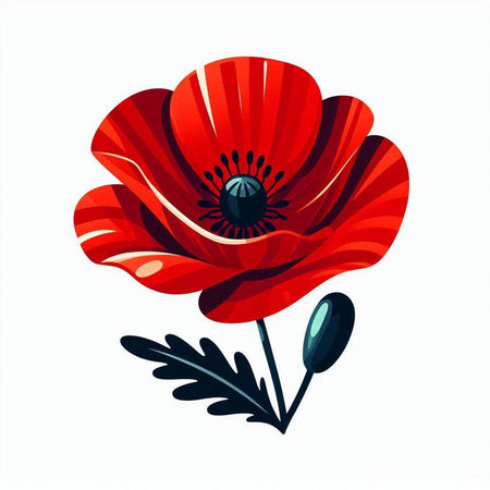 Red poppies isolated on white background. Hand drawn vector illustration.のイラスト素材