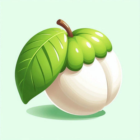 Ripe mangosteen on a green background. Vector illustration.のイラスト素材