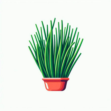Illustration of fresh chives in a pot on a white backgroundのイラスト素材