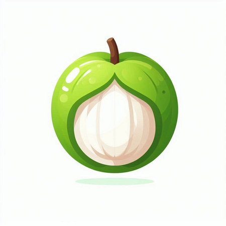 Vector illustration of a fresh green mangosteen isolated on white backgroundのイラスト素材