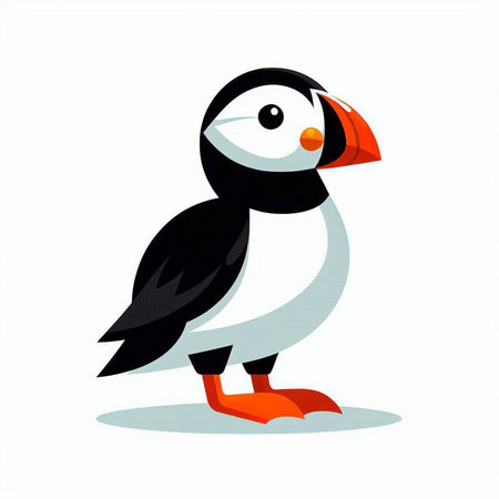 Puffin isolated on a white background. Vector illustration, eps 10のイラスト素材