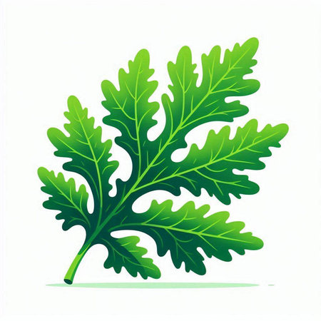 Fresh green arugula leaves isolated on white background. Vector illustration.のイラスト素材