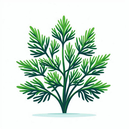 Dill. Vector illustration. Isolated on a white background.のイラスト素材