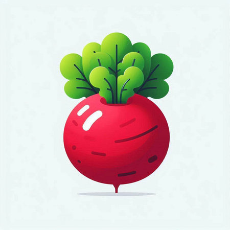 Radish vector illustration. Radish vegetable with green leaves. Vegetable icon.のイラスト素材