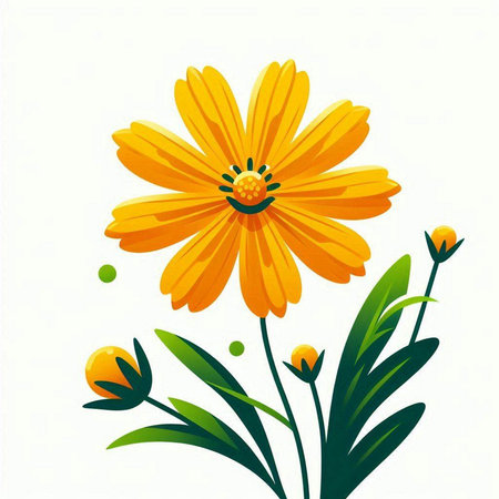 yellow flower on a white background, vector illustration, eps10のイラスト素材