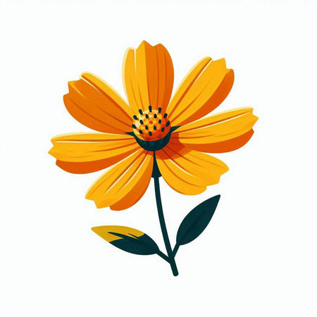Beautiful yellow cosmos flower isolated on white background. Vector illustration.のイラスト素材
