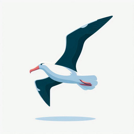 Flying seagull on a white background. Vector illustration in flat style.のイラスト素材