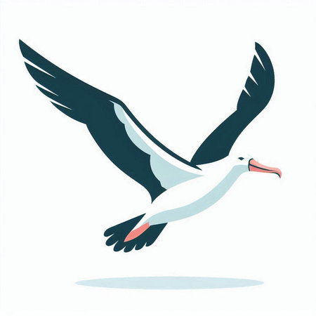 Flying seagull isolated on a white background, vector illustration.のイラスト素材