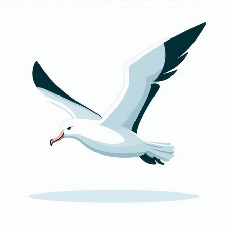Flying seagull. Vector illustration isolated on a white background.のイラスト素材