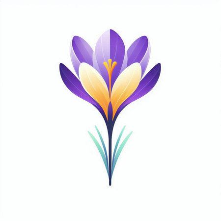 Crocus flower. Hand drawn vector illustration isolated on white background.のイラスト素材