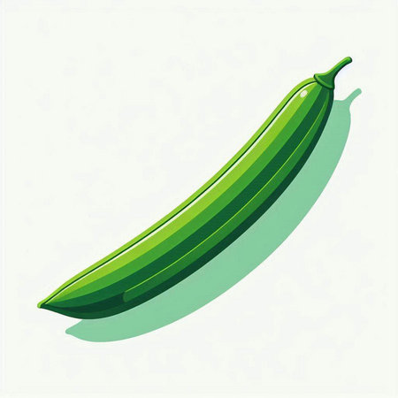 Illustration of a green zucchini on a white background.のイラスト素材