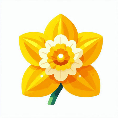 Beautiful yellow daffodil flower isolated on white background. Vector illustration.のイラスト素材