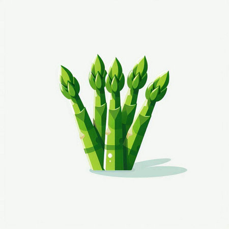 Green asparagus icon isolated on white background. Vector illustration.のイラスト素材