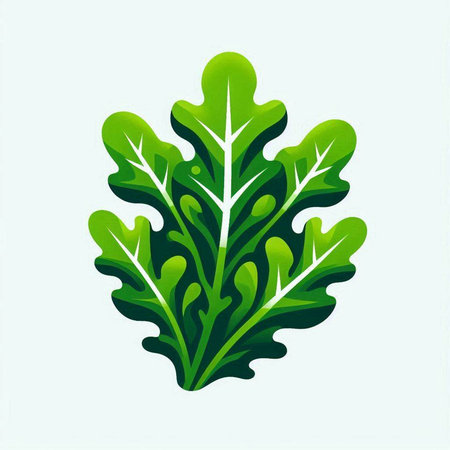 Green arugula leaf isolated on white background. Vector illustration.のイラスト素材