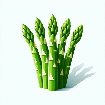 Green asparagus on a white background. Vector illustration. Eps 10のイラスト素材