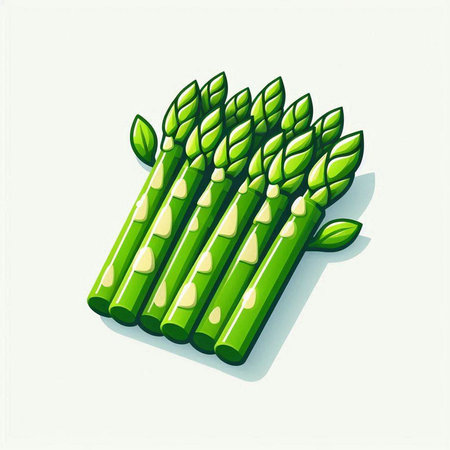 Illustration of a bunch of fresh green asparagus on a white backgroundのイラスト素材