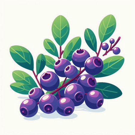 Blueberry branch with berries and leaves. Vector illustration in cartoon style.のイラスト素材