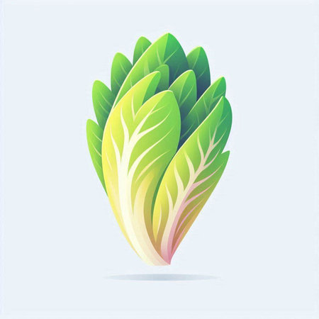 Bok choy, Chinese cabbage. Vector illustration. Isolated on white background.のイラスト素材