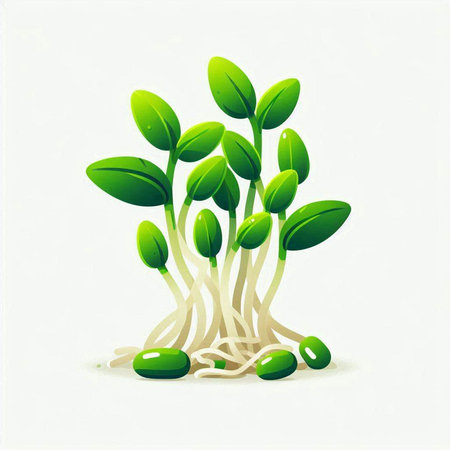Sprouts of soybeans on a white background. Vector illustration.のイラスト素材