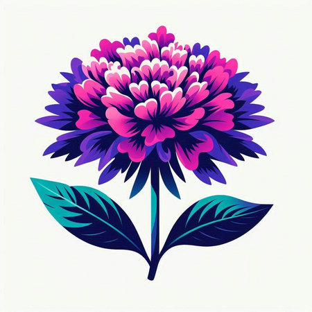 Beautiful flower dahlia on a white background. Vector illustration.のイラスト素材