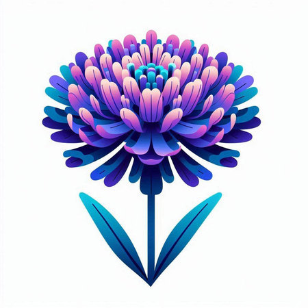 Blue chrysanthemum isolated on white background. Vector illustration.のイラスト素材