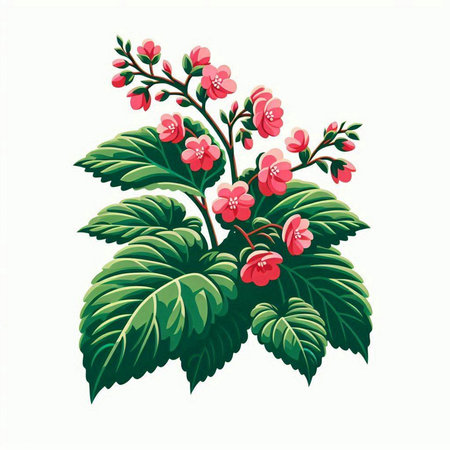 Illustration of a branch with red flowers on a white background.のイラスト素材