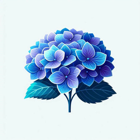 Blue hydrangea on a white background. Vector illustration.のイラスト素材
