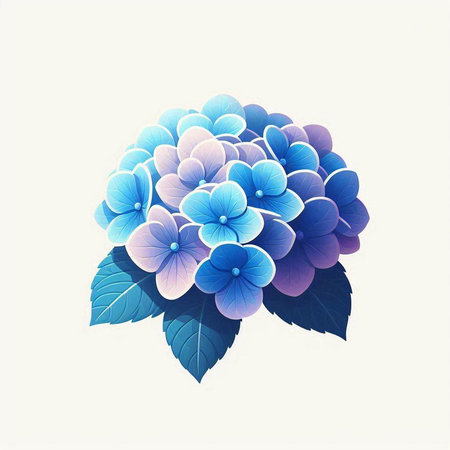 Blue hydrangea on a white background. Vector illustration.のイラスト素材
