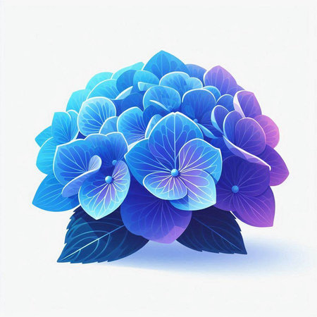 Blue hydrangea flower on white background. Vector illustration.のイラスト素材