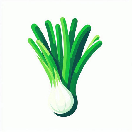Vector illustration of fresh green onion isolated on white background. Vegetable icon.のイラスト素材