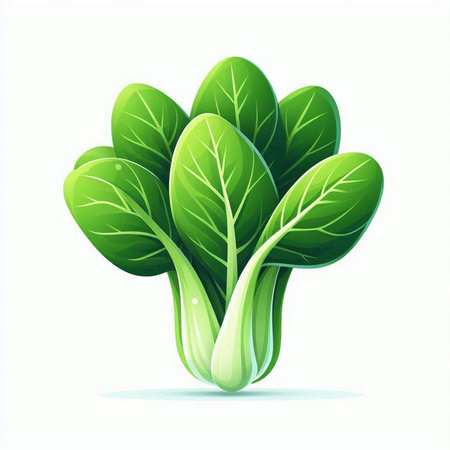 Bok choy fresh vegetable vector illustration isolated on white background.のイラスト素材