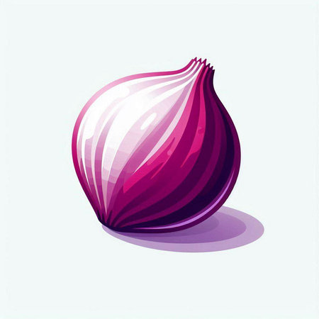 Illustration of purple onion on a white background. Vector illustration.のイラスト素材