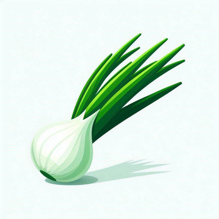 Illustration of a fresh green onion on a white background with shadowのイラスト素材