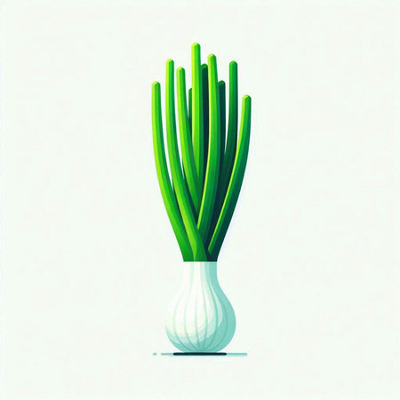 Vector illustration of green onion on a white background. Vector illustration.のイラスト素材