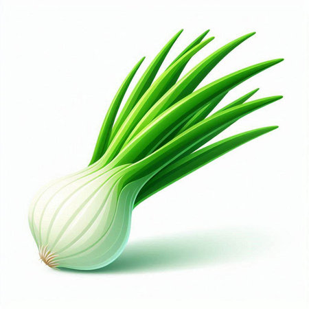 Green onion on a white background. 3d rendering,  illustration.のイラスト素材