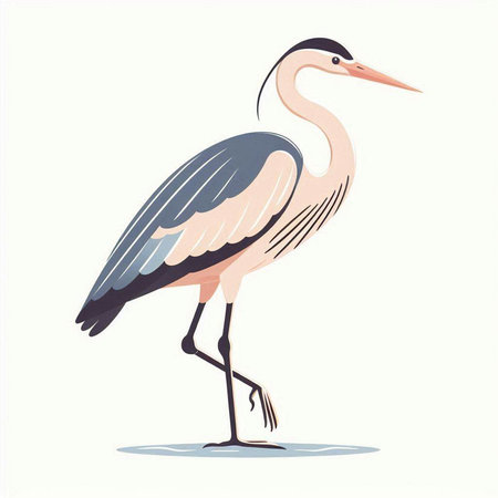 Heron on a white background. Vector illustration in flat style.のイラスト素材