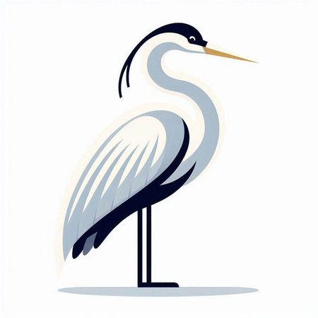 Vector illustration of a heron on a white background. Isolated.のイラスト素材