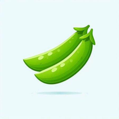 Fresh green pea pod isolated on white background. Vector illustration.のイラスト素材