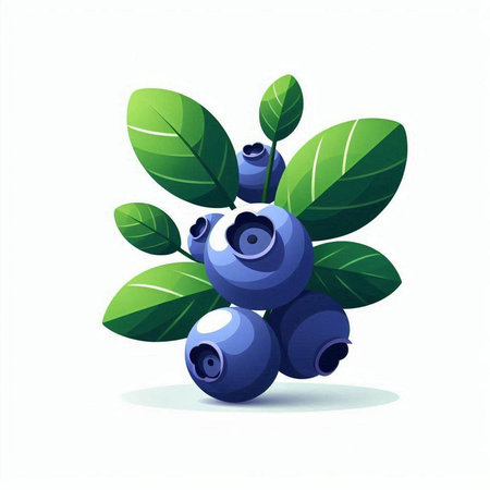 Blueberries with green leaves on a white background. Vector illustration.のイラスト素材