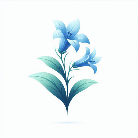 Blue flowers of lily on a white background. Vector illustration.のイラスト素材