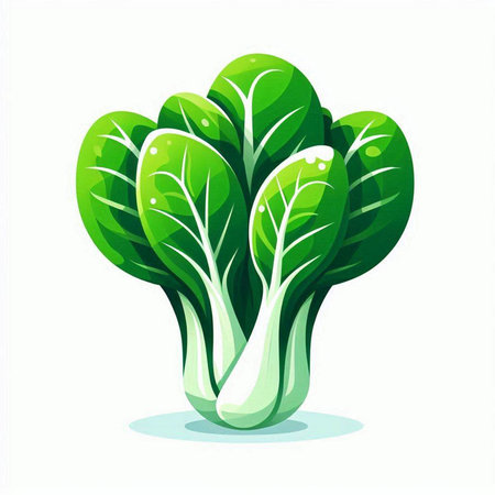 Bok choy isolated on white background. Vector illustration of bok choy.のイラスト素材
