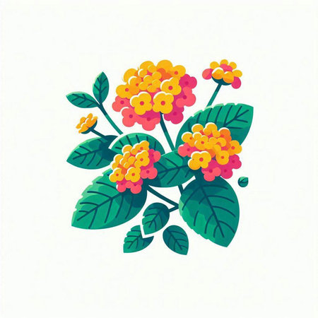 Lantana camara flowers isolated on white background. Vector illustration.のイラスト素材
